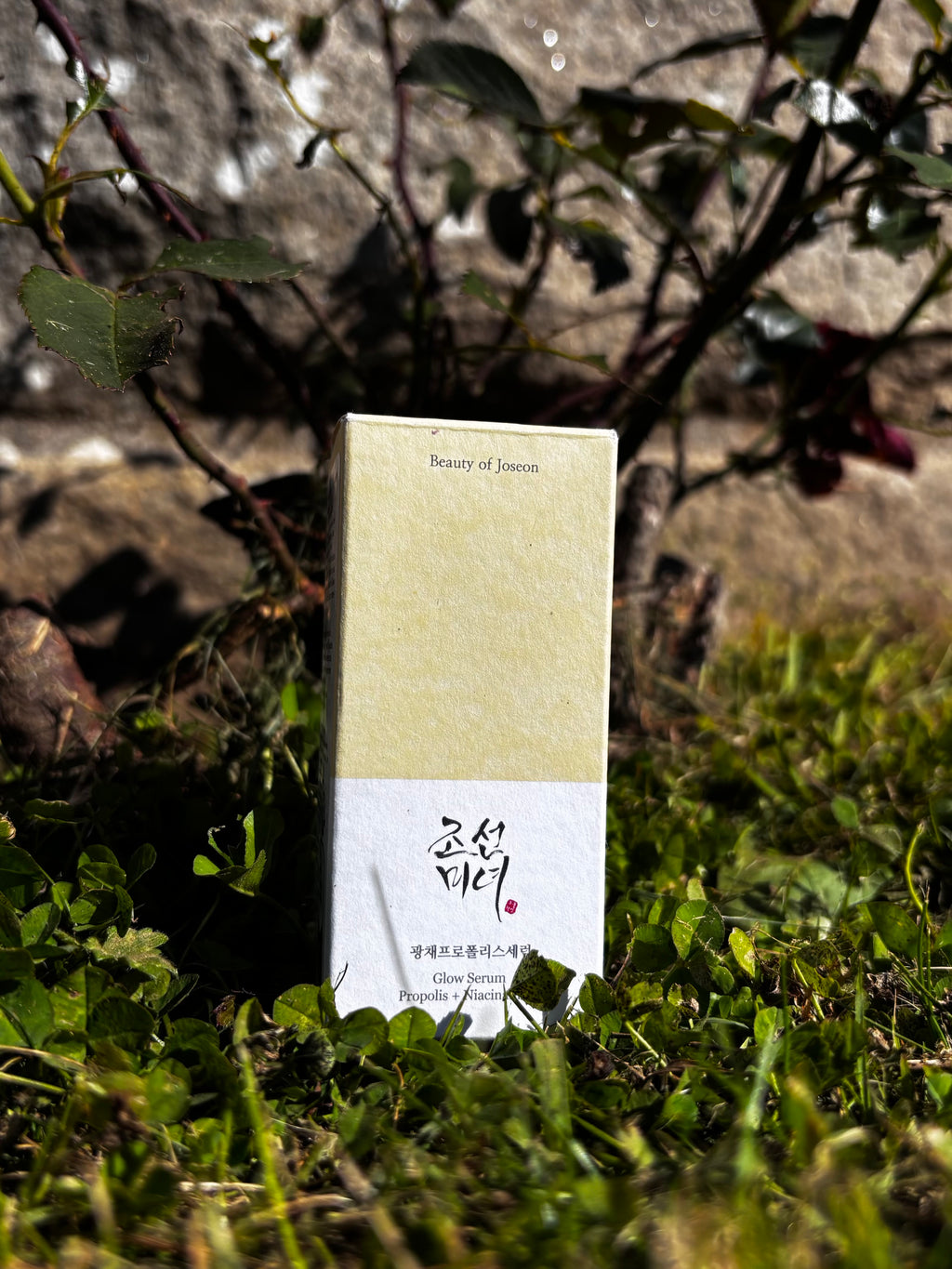 Glow Serum Propolis – Le meilleur sérum coréen pour un éclat naturel