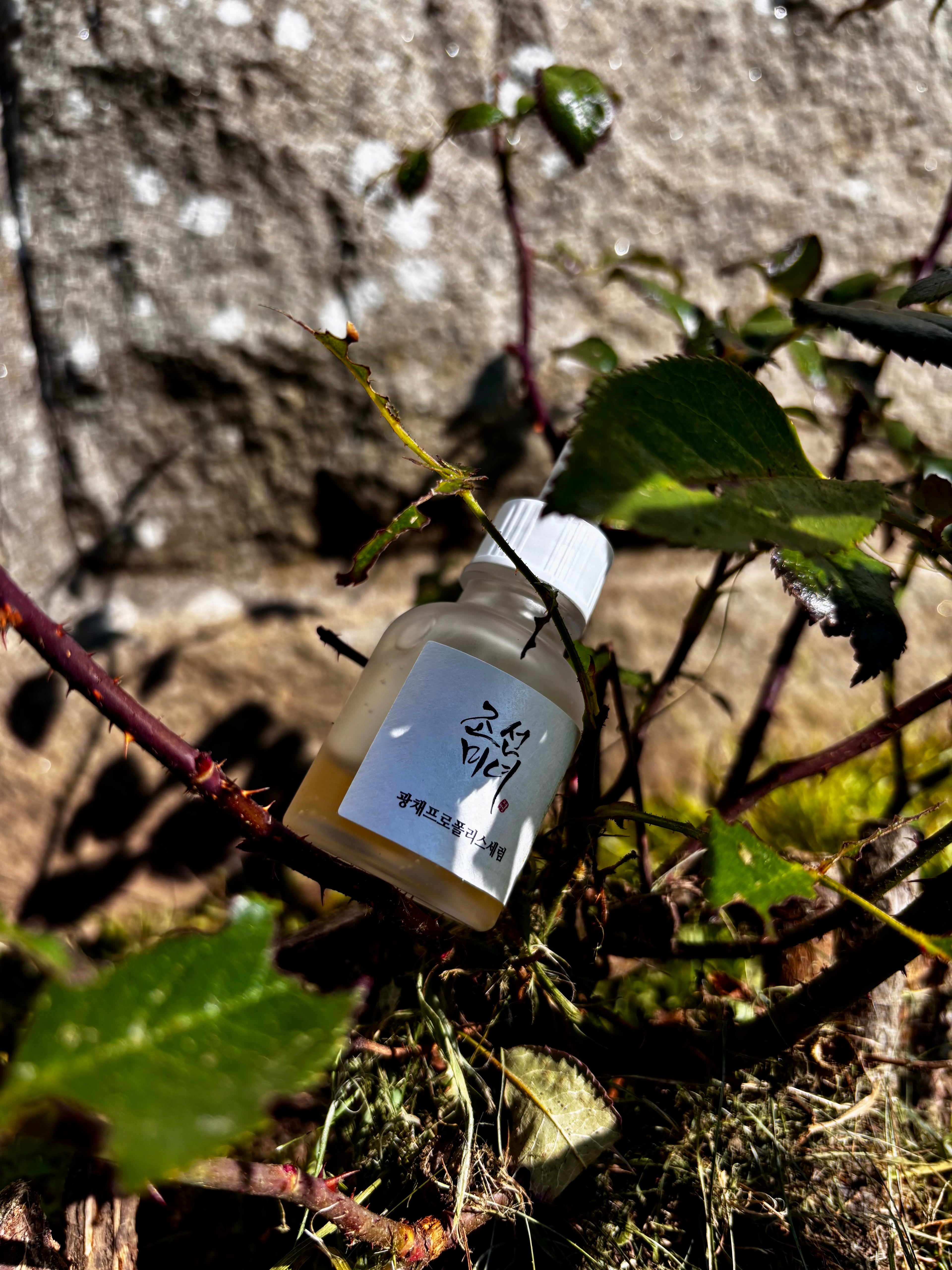 Glow Serum Propolis – Le meilleur sérum coréen pour un éclat naturel