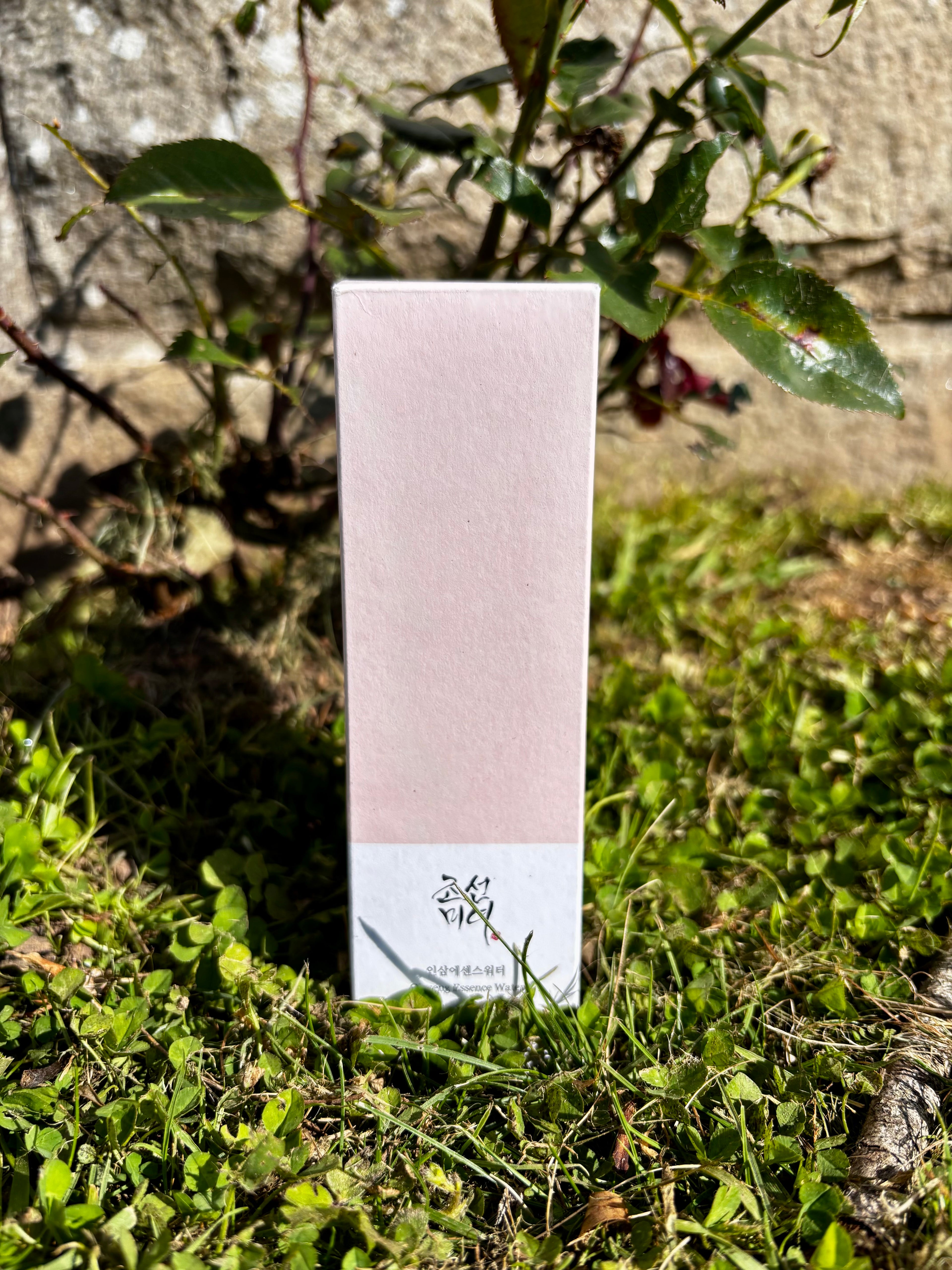 Essence Éclat au Gingembre