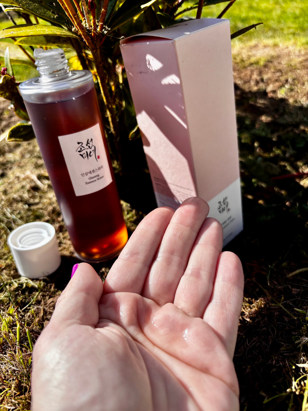 Essence Éclat au Gingembre