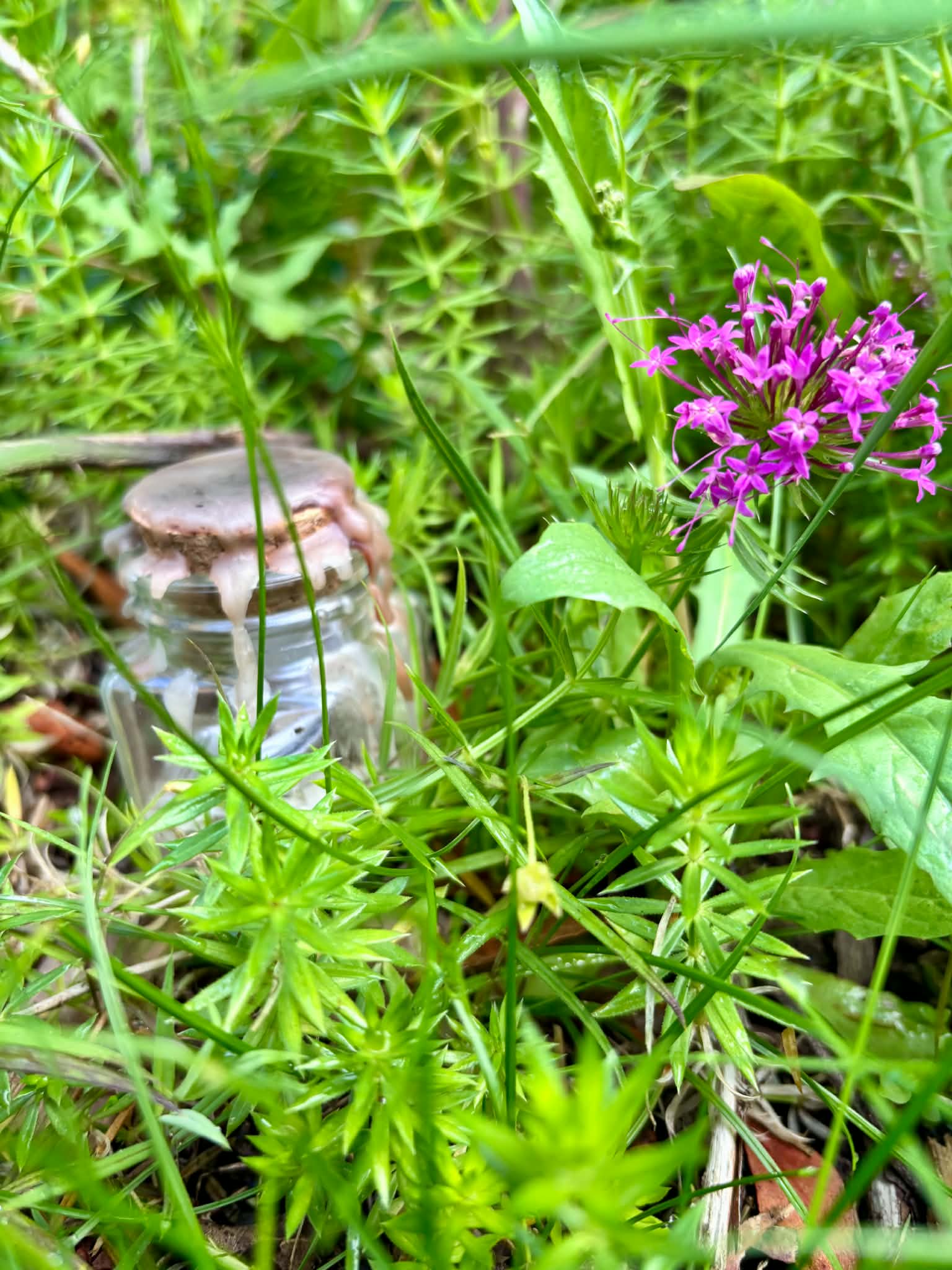 Spell Jar Chance et Abondance